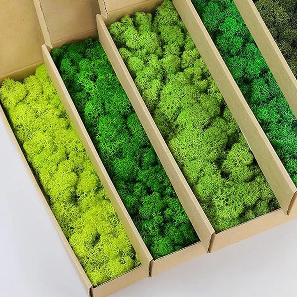 Terrarium Moss Art - 20-200g Yapay Yeşil Bitkiler Sahte Çim
