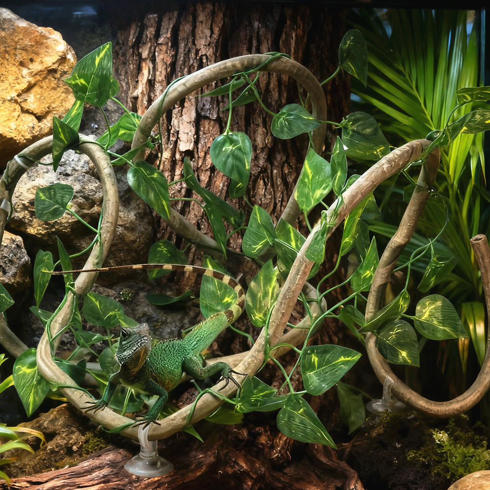 Kertenkeleler için Teraryum Ta - Terrarium Moss Art incelemesi ve fiyatı